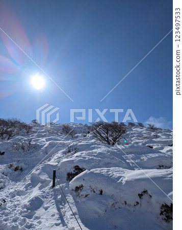 九重的白雪皚皚的山腰 123497533
