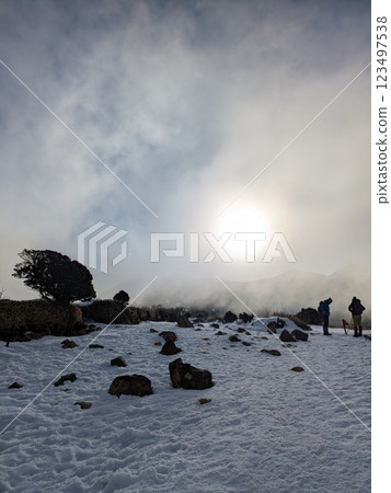 The blessings of the sun in a snowy landscape The blessings of the sun in a snowy landscape 123497538