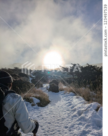 穿過雪地，向太陽前進 123497539