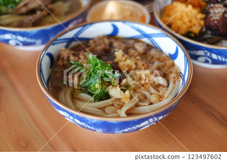 Savory Udon Noodles in Rich Broth Savory Udon Noodles in Rich Broth 123497602