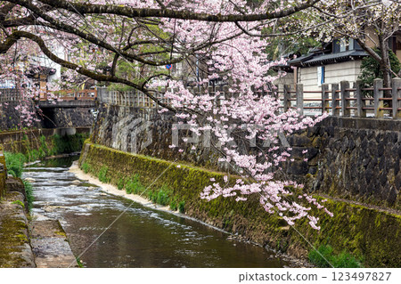 200412 恵子川櫻 m048 123497827