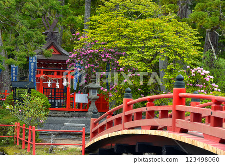 Mount Koya Danjo Garan: Zennyoryuosha Shrine and Rhododendrons 123498060