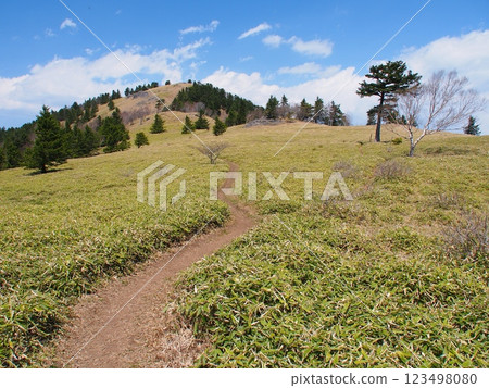 大菩薩山脈的春景，岡平 123498080