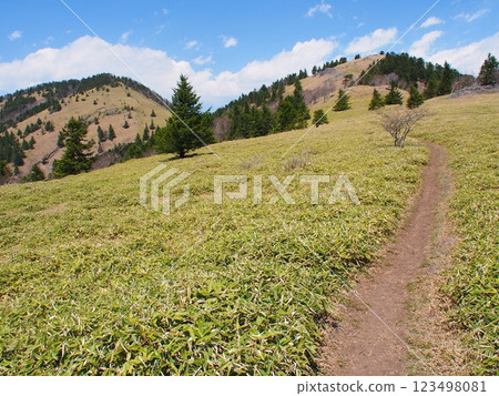 大菩薩山脈的春景，岡平 123498081