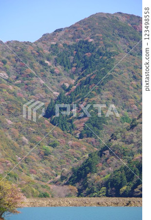 View of the Yuzuruha mountain range with its blooming mountain cherry blossoms from Dainichigawa Dam in Minamiawaji City, Hyogo Prefecture View of the Yuzuruha mountain range with its blooming mountain cherry blossoms from Dainichigawa Dam in Minamiawaji City, Hyogo Prefecture 123498558