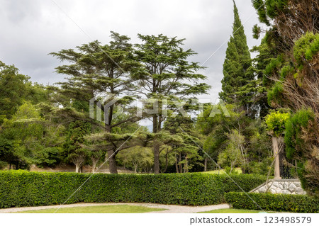 Sveti Stefan, Montenegro, Adriatic sea park 123498579