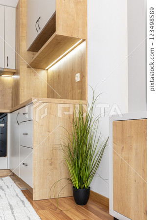 Cozy corner of room with kitchen and plant Cozy corner of room with kitchen and plant 123498589