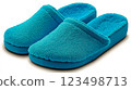 A pair of blue slippers on a white background 123498713