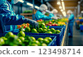 A group of people working in a factory with crates of vegetables 123498714
