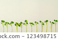 A row of green plants growing out of a white wall 123498715