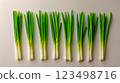 A bunch of green onions on a white surface 123498716