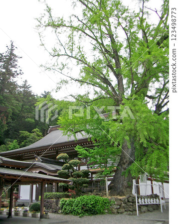 岡山縣吉備津神社的祈禱殿 岡山縣吉備津神社的祈禱殿 123498773