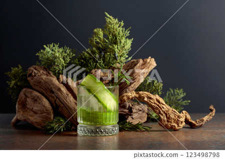 Cocktail gin and tonic with ice, cucumber, and rosemary. 123498798