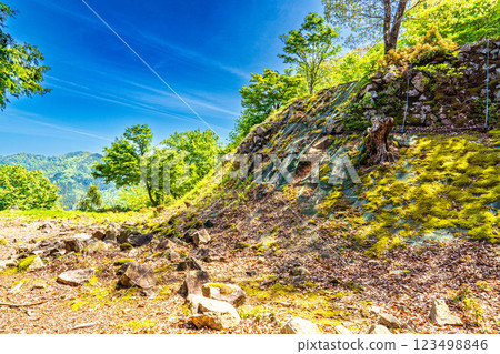 [Continued Top 100 Castles in Japan] Arikoyama Castle in early summer: Stone wall of the fourth bailey 1, Izushi-cho, Toyooka City, Hyogo Prefecture 123498846