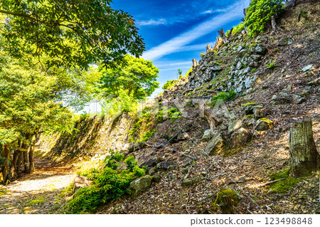 [Continued Top 100 Castles in Japan] Early summer at Arikoyama Castle: Second Bailey Stone Wall 1, Izushi-cho, Toyooka City, Hyogo Prefecture 123498848