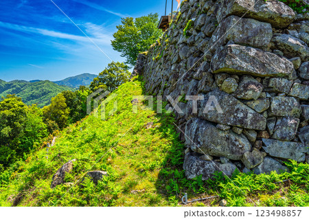 [Continued Top 100 Castles in Japan] Arikoyama Castle in early summer: north side of main enclosure and northwest stone wall, Izushi-cho, Toyooka City, Hyogo Prefecture 123498857