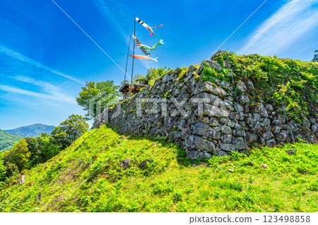 [Continued Top 100 Castles in Japan] Arikoyama Castle in early summer: Stone wall in the northwest part of the main castle, Izushi-cho, Toyooka City, Hyogo Prefecture 123498858