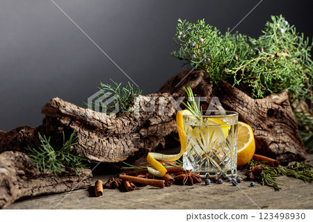 Cocktail gin-tonic with lemon, cinnamon, anise, and juniper berries. 123498930