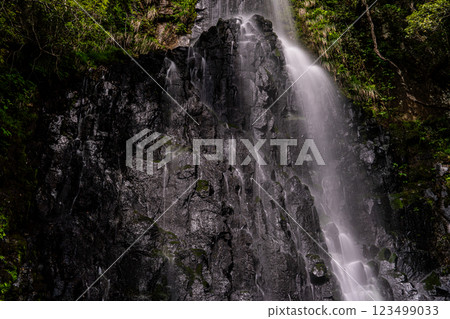 [Japan's 100 Best Waterfalls] Early summer scenery of Saruo Falls, top 12, Kami Town, Mikata District, Hyogo Prefecture 123499033