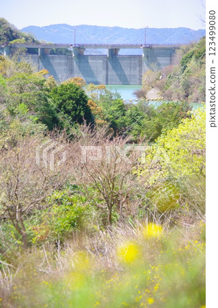 從兵庫縣南淡路市大日水壩公園眺望大日水壩 123499080