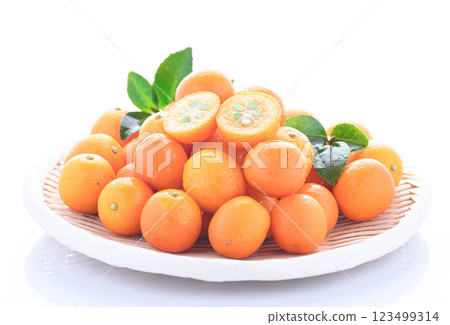 宮崎縣金橘（白底） 123499314