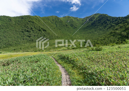 前往大日山 (Dainichidaira) 的木板路 前往大日山 (Dainichidaira) 的木板路 123500051