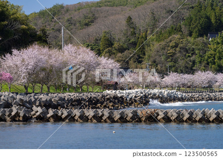 能登鐵道舊八見站 能登鐵道舊八見站 123500565