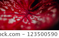 Attenuata soft and blurred focus, Natural abstract, blurred background, bold red Colored. Dark moody feel. Love concept. 123500590
