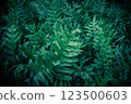 Green leaf texture abstract background 123500603
