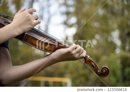 Violinist in nature Violinist in nature 123500610
