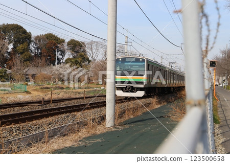 E233 series local train running near Hasuda City, Saitama Prefecture in winter E233 series local train running near Hasuda City, Saitama Prefecture in winter 123500658