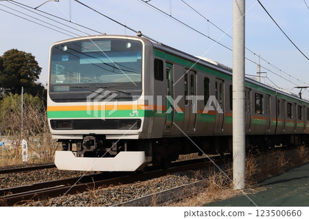E233 series local train running near Hasuda City, Saitama Prefecture in winter E233 series local train running near Hasuda City, Saitama Prefecture in winter 123500660