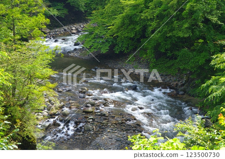 夏日的多摩川和丹波川的源頭 123500730
