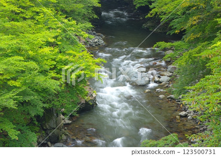 夏日的多摩川和丹波川的源頭 123500731