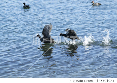 哦範 哦範 123501023