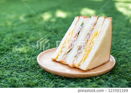 Homemade Sandwich, fried egg with crab stick, vegetable salad and mayonnaise served on a circular wooden dish. Homemade Sandwich, fried egg with crab stick, vegetable salad and mayonnaise served on a circular wooden dish. 123501169