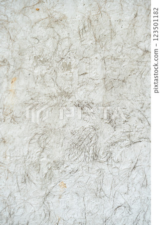 Grey rough wall texture concrete like stone with a mixture of rice straw dry hay. 123501182