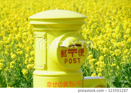 黃色郵報 123501287