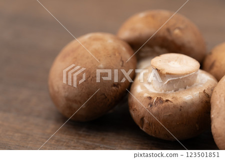 棕色蘑菇特寫 123501851
