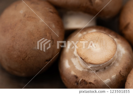 棕色蘑菇特寫 123501855