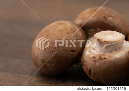 棕色蘑菇特寫 123501856
