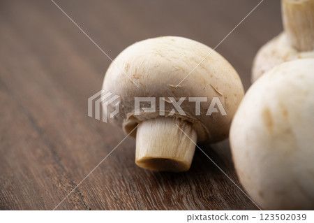 白蘑菇特寫 123502039