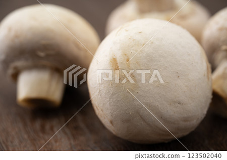 白蘑菇特寫 123502040