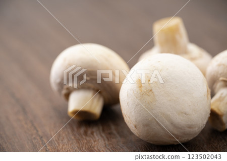 白蘑菇特寫 123502043