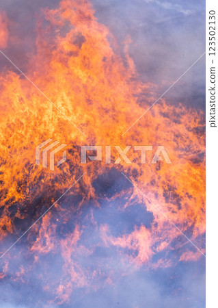 A sightseeing and recreational spot that shines with the spring scenery: A close-up view of the burning fields in Aso (Tawarayama) 123502130