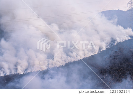 A sightseeing and recreational spot that shines with the spring scenery: A close-up view of the burning fields in Aso (Tawarayama) A sightseeing and recreational spot that shines with the spring scenery: A close-up view of the burning fields in Aso (Tawarayama) 123502134