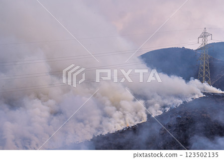 A sightseeing and recreational spot that shines with the spring scenery: A close-up view of the burning fields in Aso (Tawarayama) 123502135
