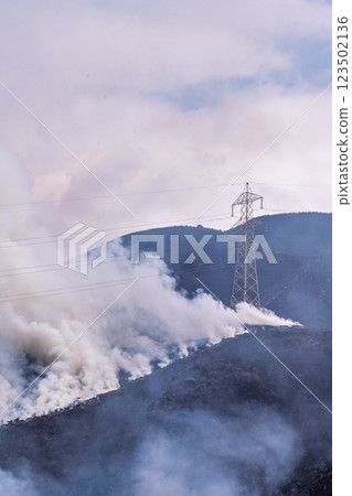 A sightseeing and recreational spot that shines with the spring scenery: A close-up view of the burning fields in Aso (Tawarayama) 123502136