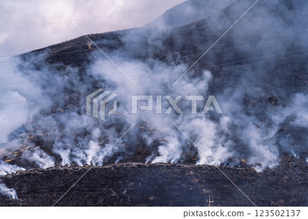 閃耀春光的觀光休憩勝地:近距離觀賞阿蘇(俵山)火燒場 閃耀春光的觀光休憩勝地:近距離觀賞阿蘇(俵山)火燒場 123502137