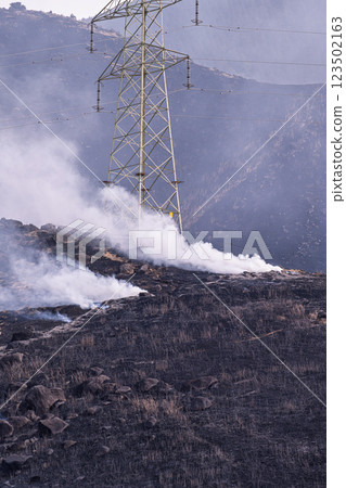 A sightseeing and recreational spot that shines with the spring scenery: A close-up view of the burning fields in Aso (Tawarayama) A sightseeing and recreational spot that shines with the spring scenery: A close-up view of the burning fields in Aso (Tawarayama) 123502163